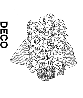 DECO｜胡蝶蘭と装飾